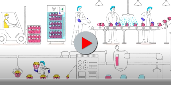 Good Manufacturing Practices for Food Safety Video