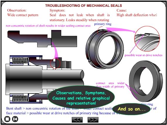mechanical seal training