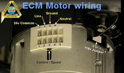 ECM motor wiring connector